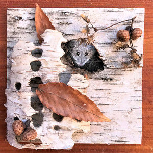 Meet your Posher, Geo